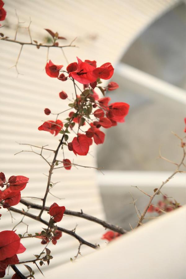 Harmony Hotel Sarande Ngoại thất bức ảnh